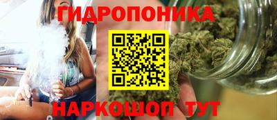 прущие крисы Апшеронск